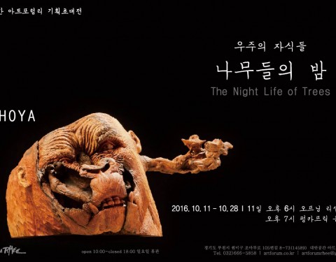 호야 